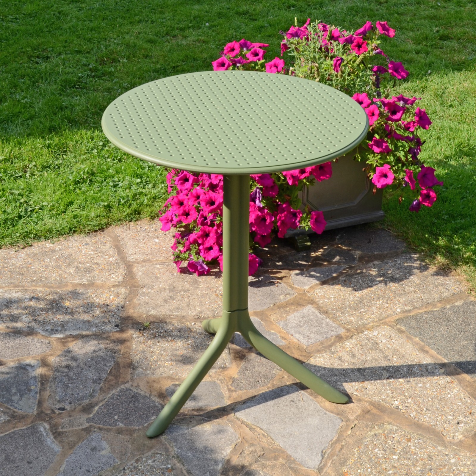Step Nardi Agave