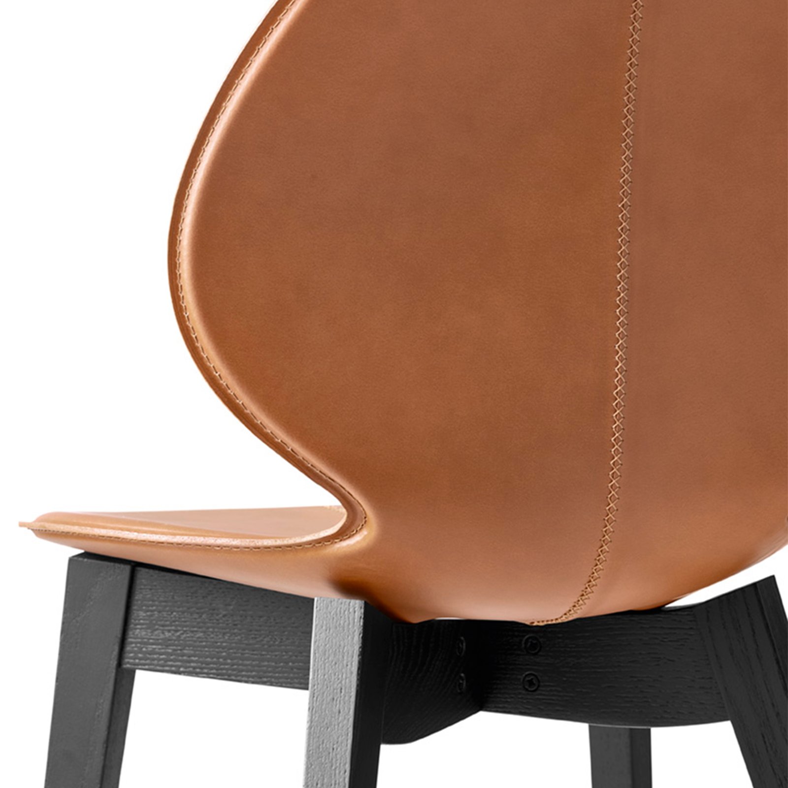 Basil | Calligaris - Image 3